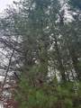 02 Woodland Trail - Photo 5
