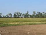 Parcel 1 Karnes Road - Photo 5