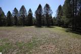 1177 Railroad Trail - Photo 7