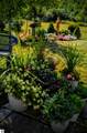 5436 Lilly Lane - Photo 13
