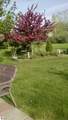 5436 Lilly Lane - Photo 15