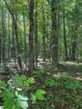 9591 Tower Road - Photo 23