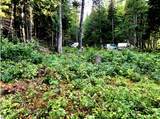 TBD Keweenaw Pass Road - Photo 7