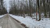 13384 Bartz Road - Photo 4