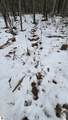 13384 Bartz Road - Photo 8