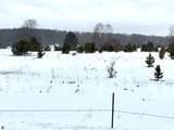17.5 A Creighton Road - Photo 11