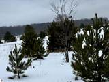 17.5 A Creighton Road - Photo 12