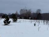 17.5 A Creighton Road - Photo 13