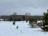 17.5 A Creighton Road - Photo 14