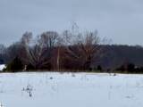 17.5 A Creighton Road - Photo 15
