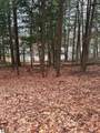 03 Woodland Trail - Photo 16