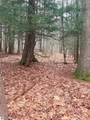 03 Woodland Trail - Photo 17