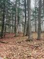 03 Woodland Trail - Photo 18