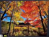 03 Woodland Trail - Photo 2