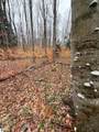 03 Woodland Trail - Photo 8