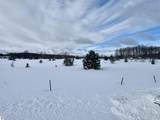 17.5 A Creighton Road - Photo 8