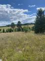 17.5 A Creighton Road - Photo 3