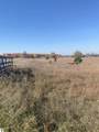 17.5 A Creighton Road - Photo 4