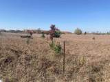 17.5 A Creighton Road - Photo 6