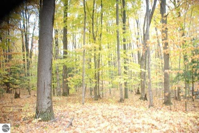19 Balsam Trail - Photo 1