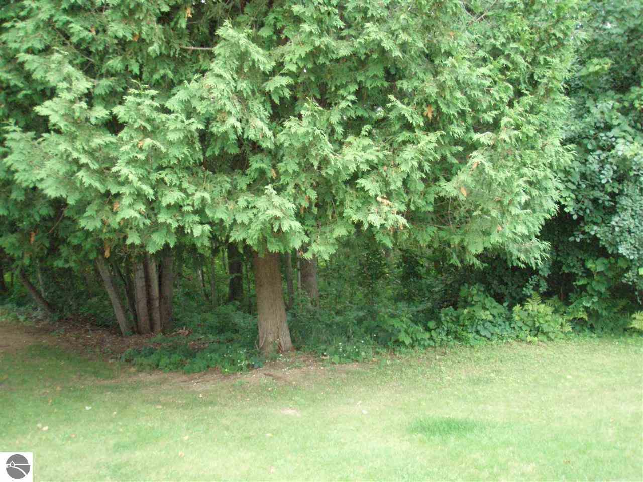 000 Siegle Street - Photo 1