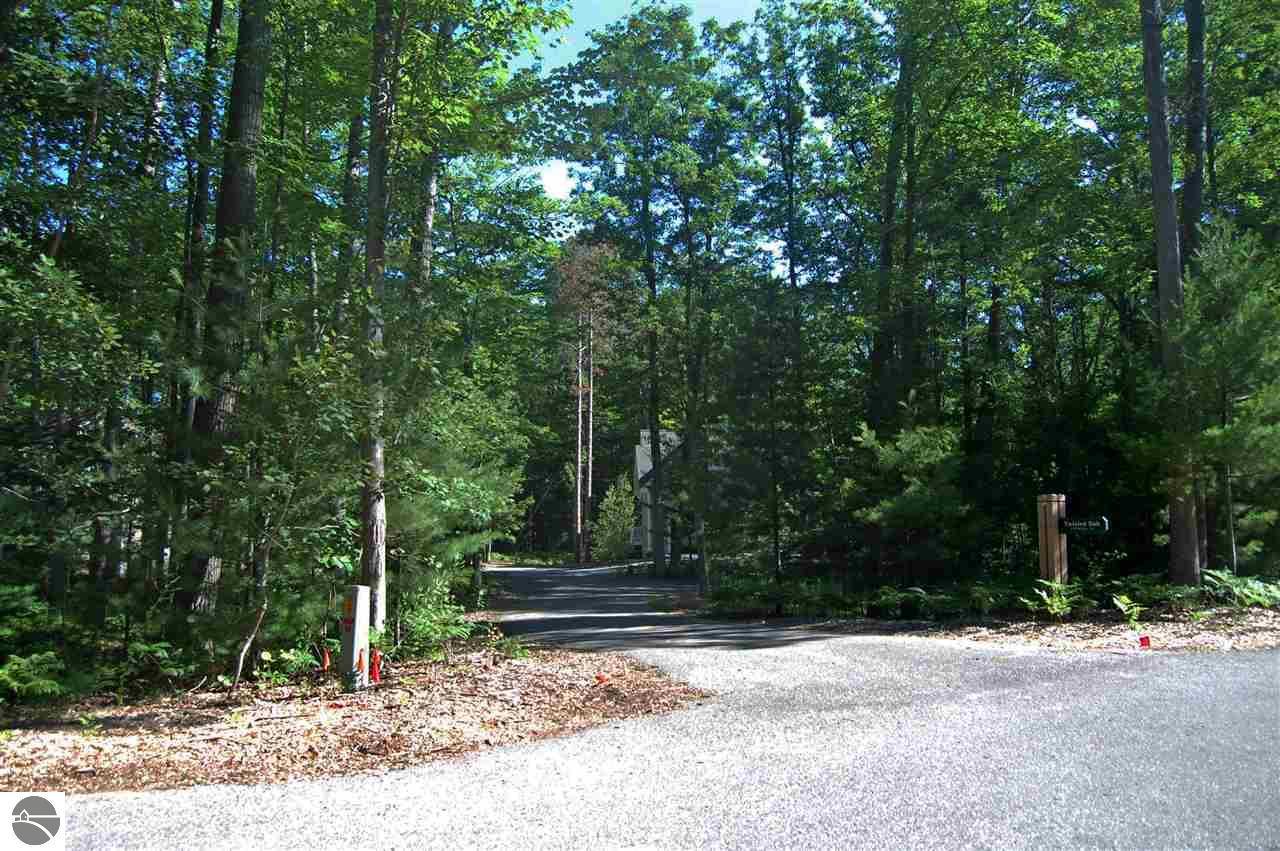 9 Twisted Oak - Photo 1