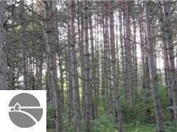 2134 Kodiak Trail - Photo 1