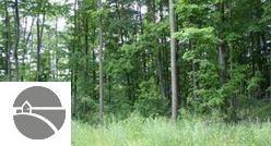2111 Kodiak Trail - Photo 1