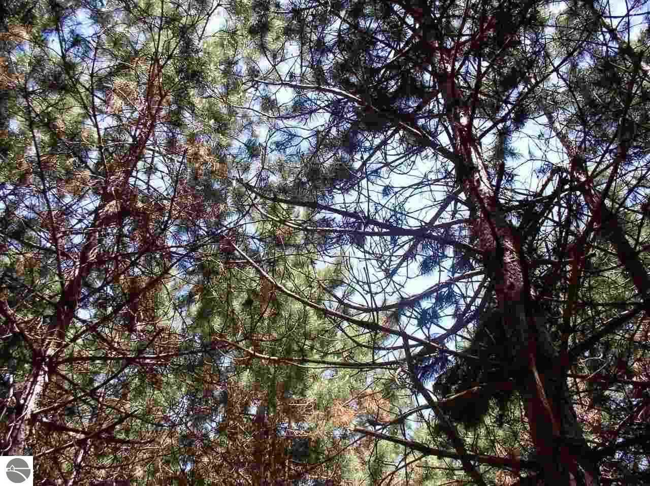 B Maple Valley Road - Photo 1