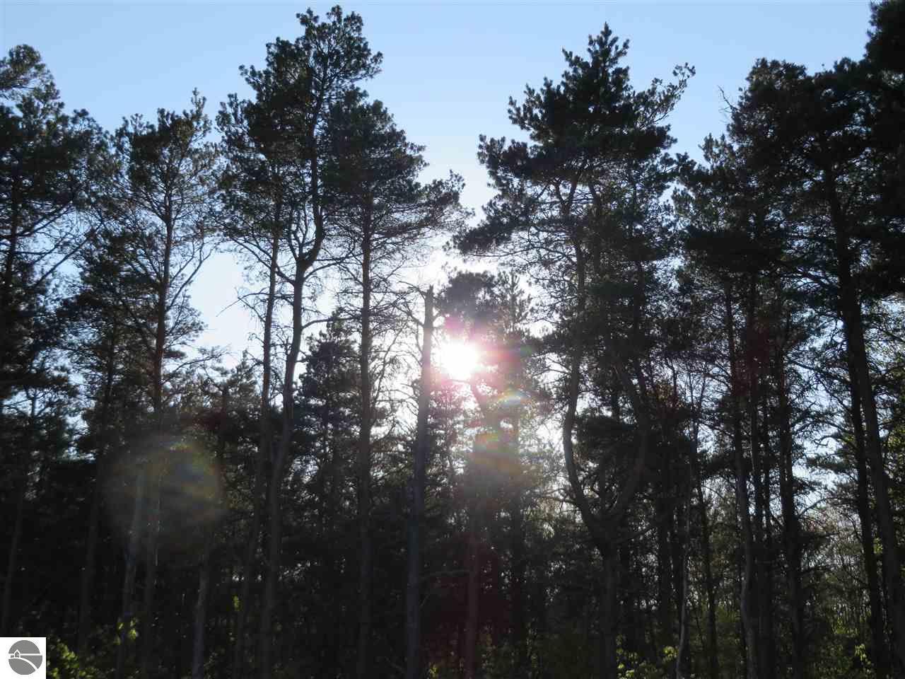 F-S Sawyer Road - Photo 1