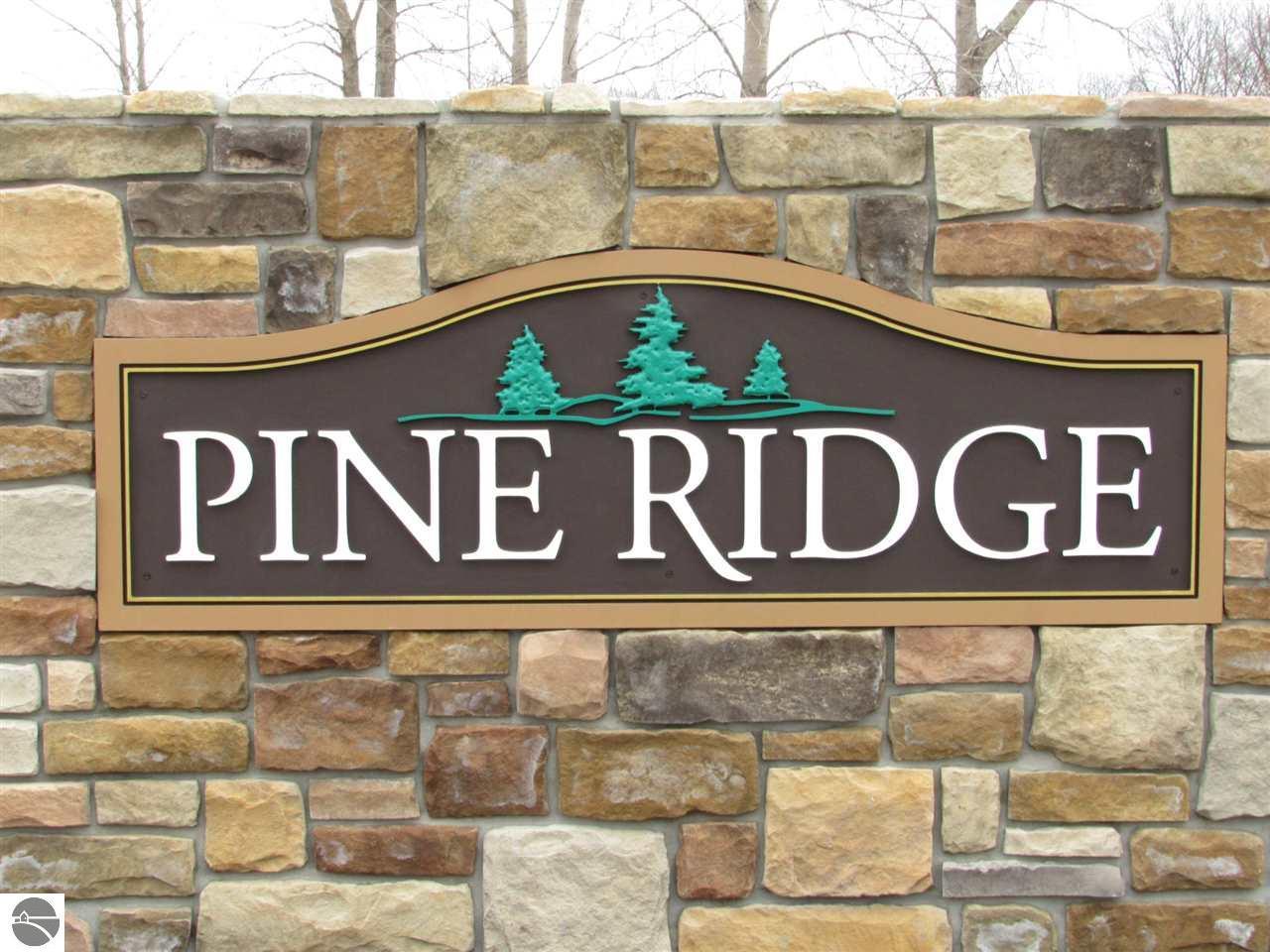 2620 White Pine Drive - Photo 1