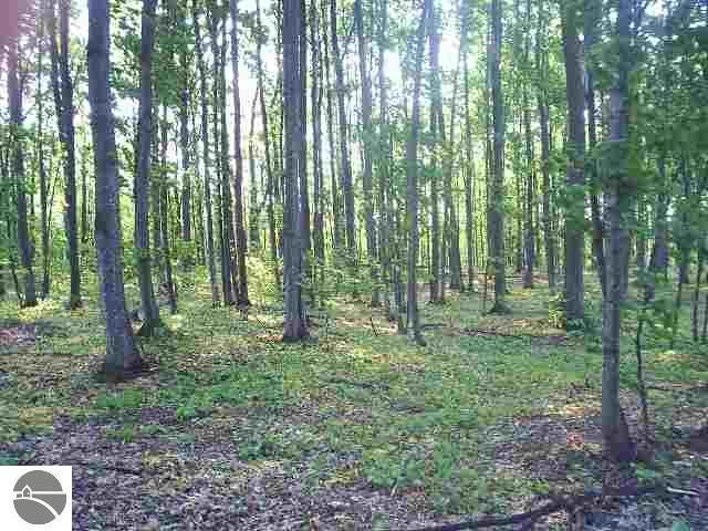 Our Majestic Trail - Photo 1
