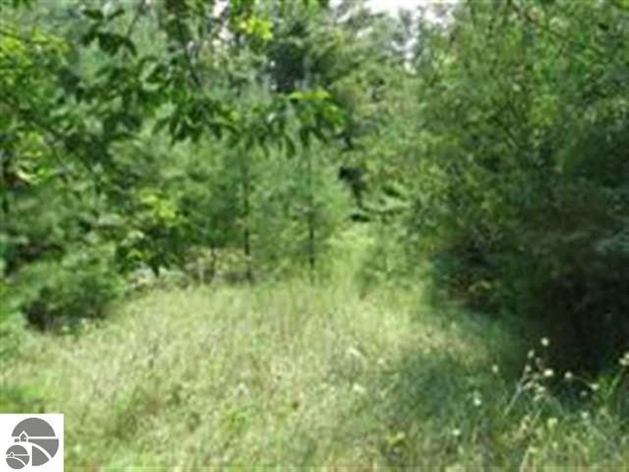 -0- M-55 - Photo 1