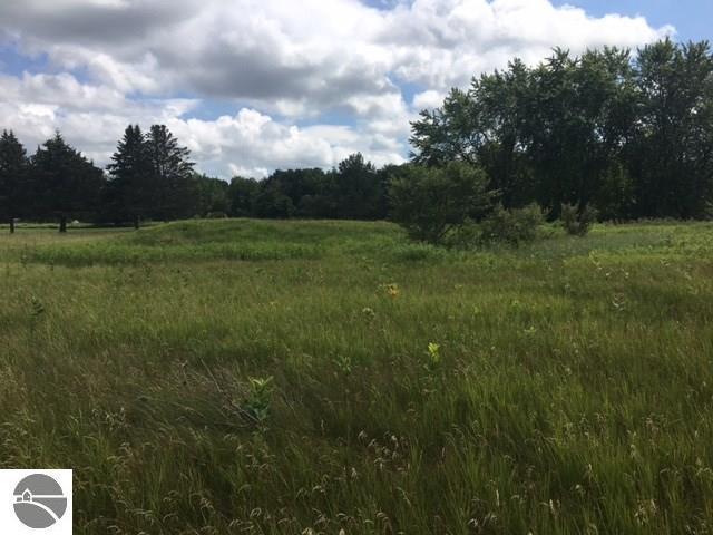 1017 Birdie Drive - Photo 1