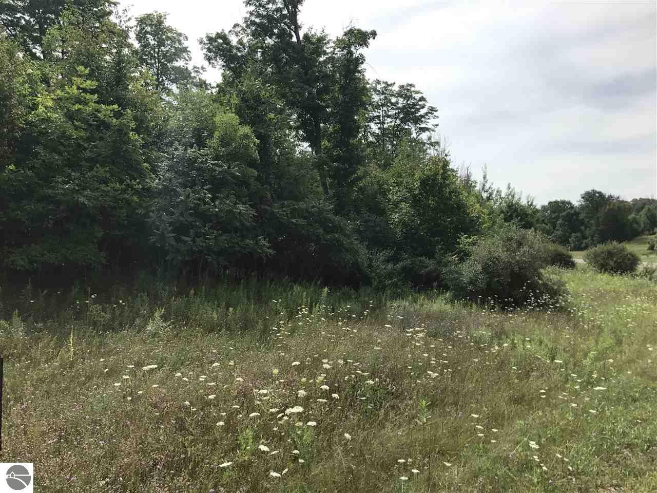 6071 Floreys Ranch Road - Photo 1