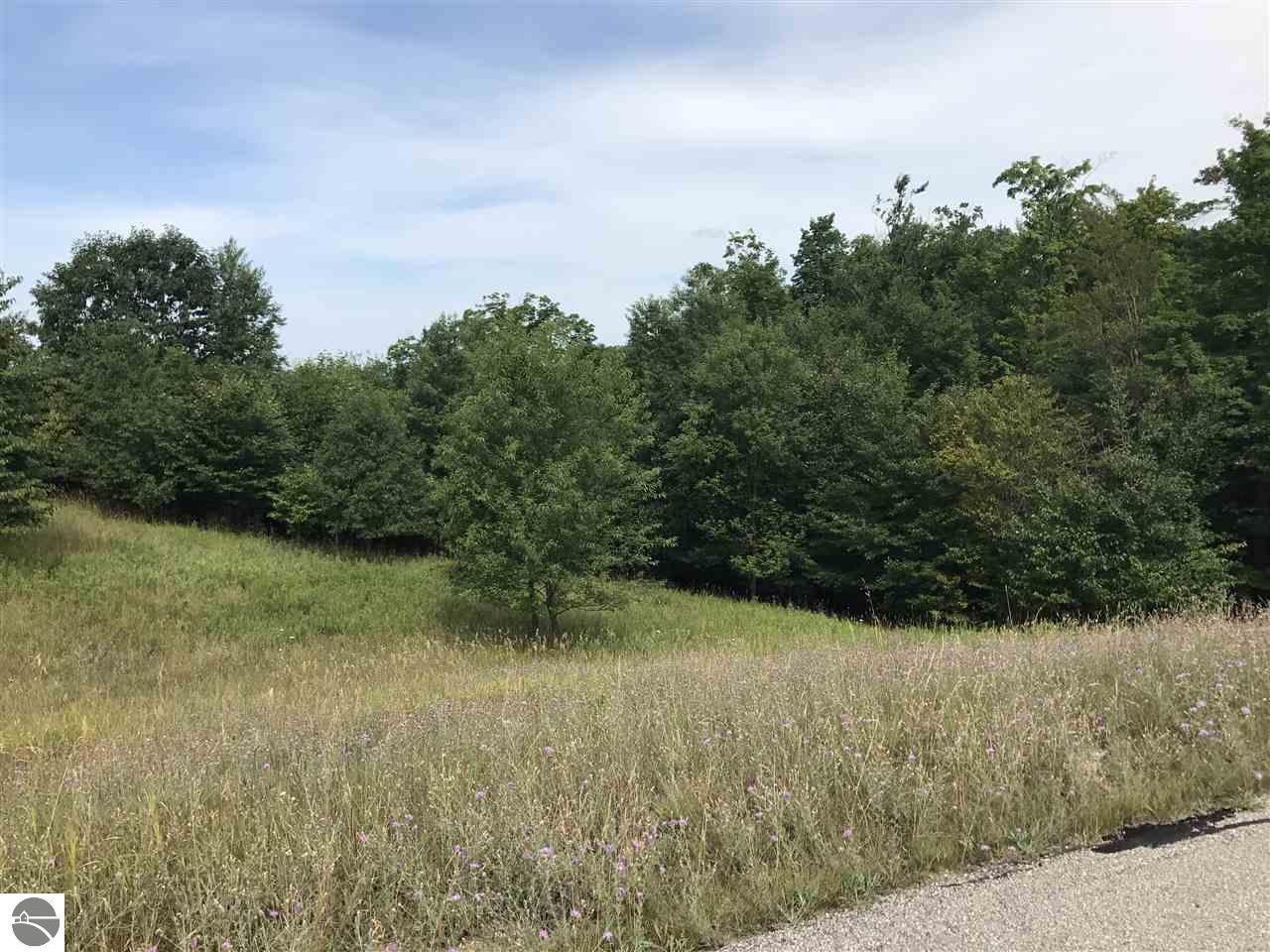 Horton Creek Drive - Photo 1