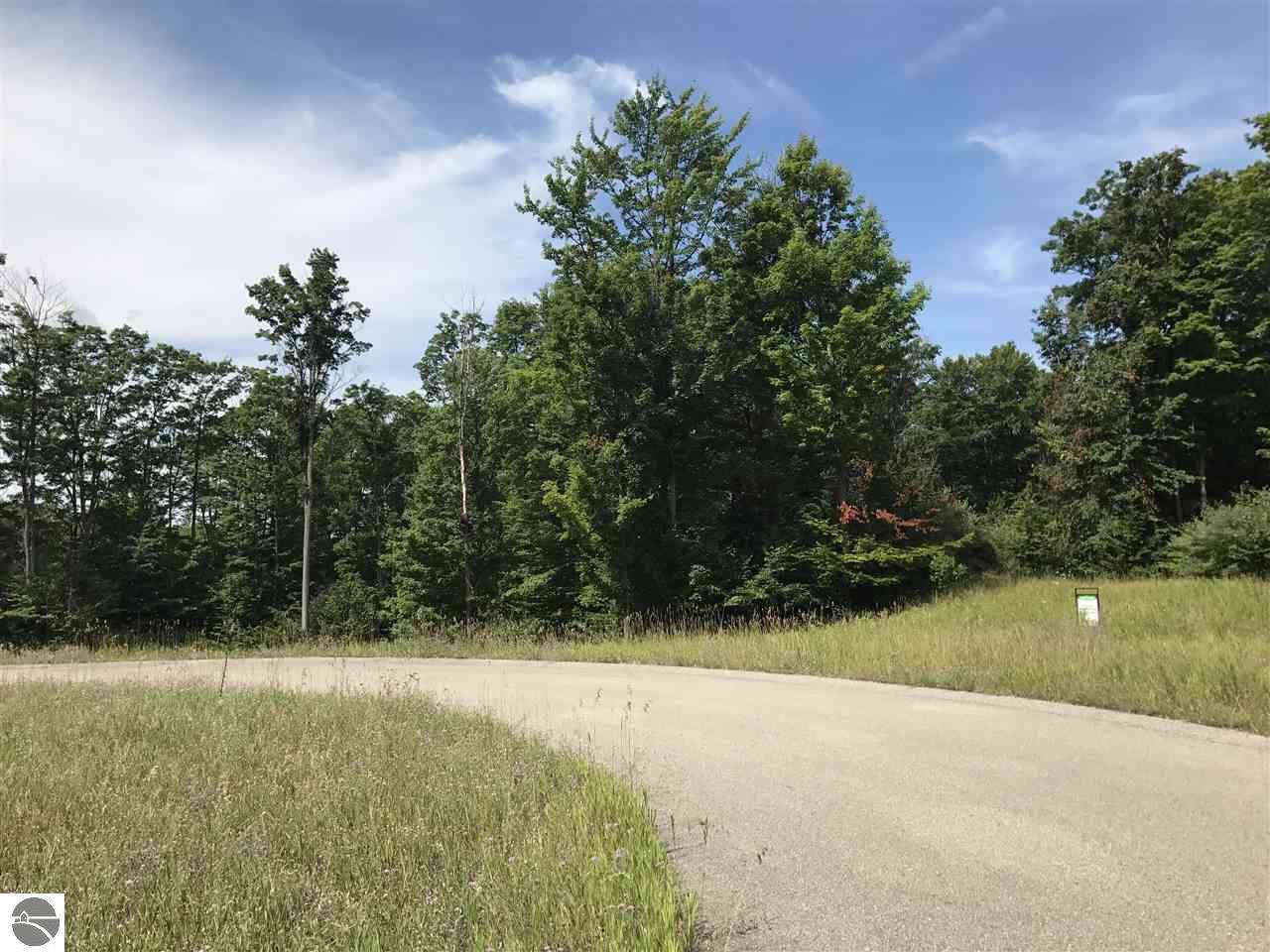 Horton Creek Drive - Photo 1