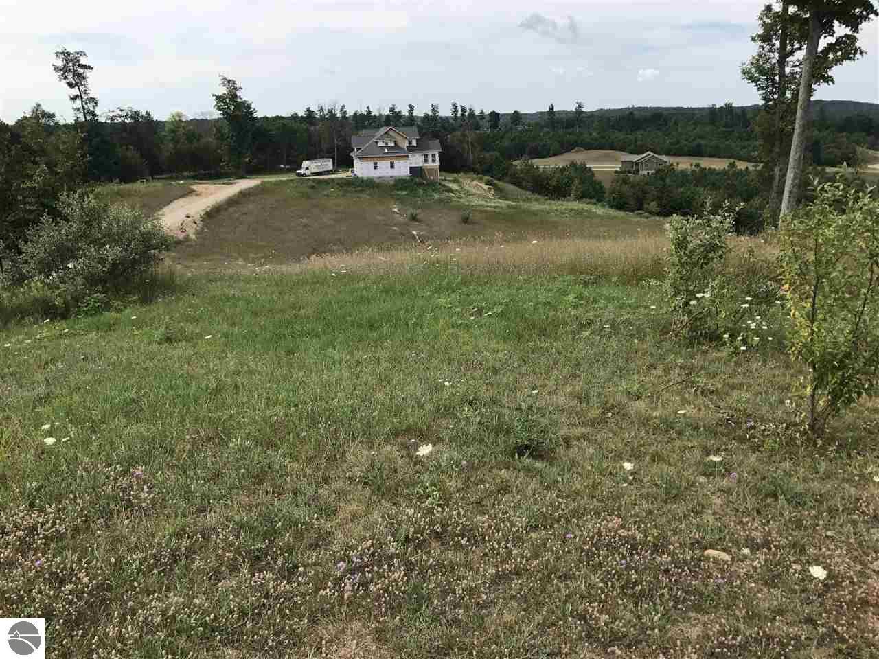 Horton Creek Drive - Photo 1