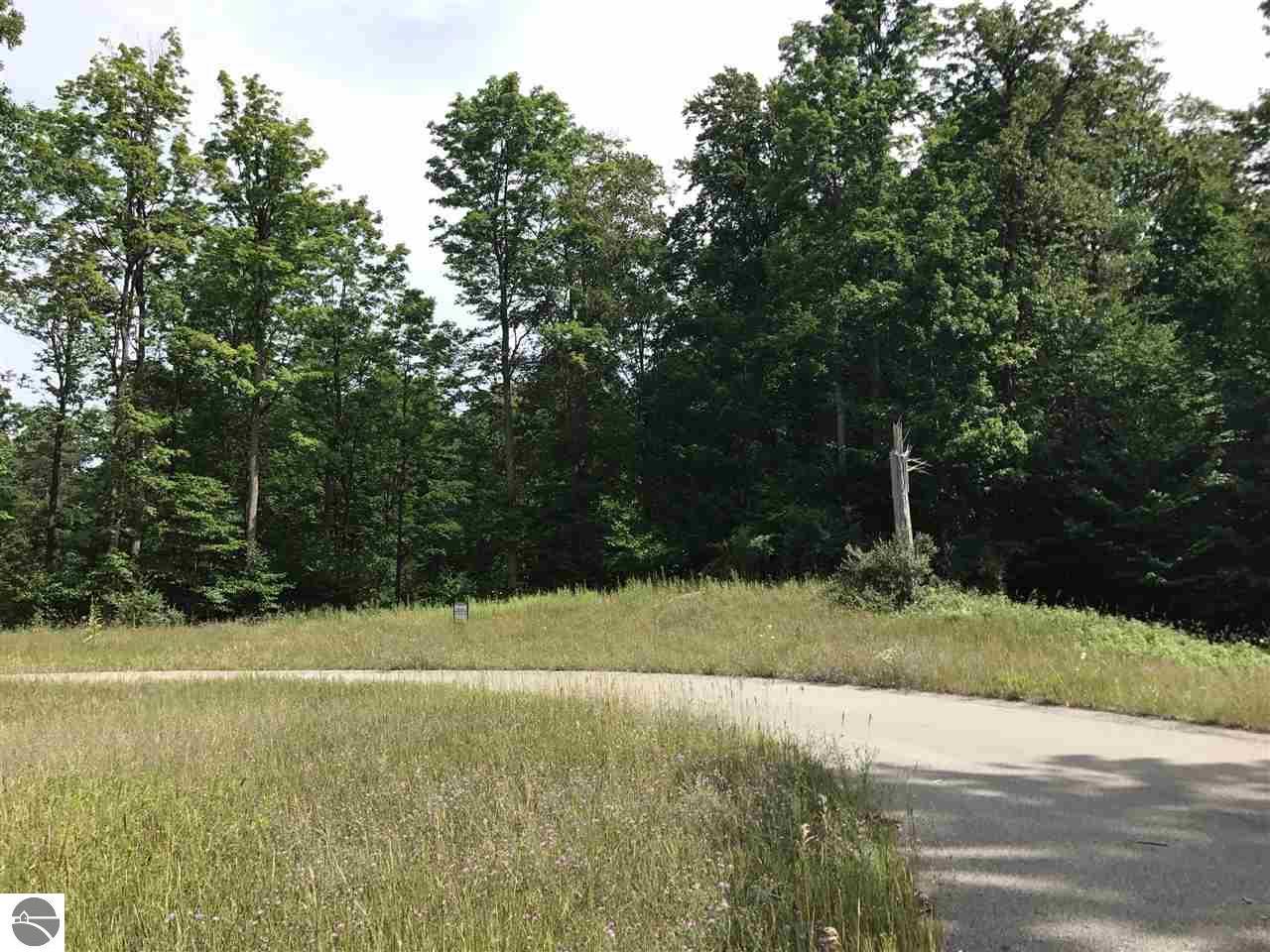Horton Creek Drive - Photo 1