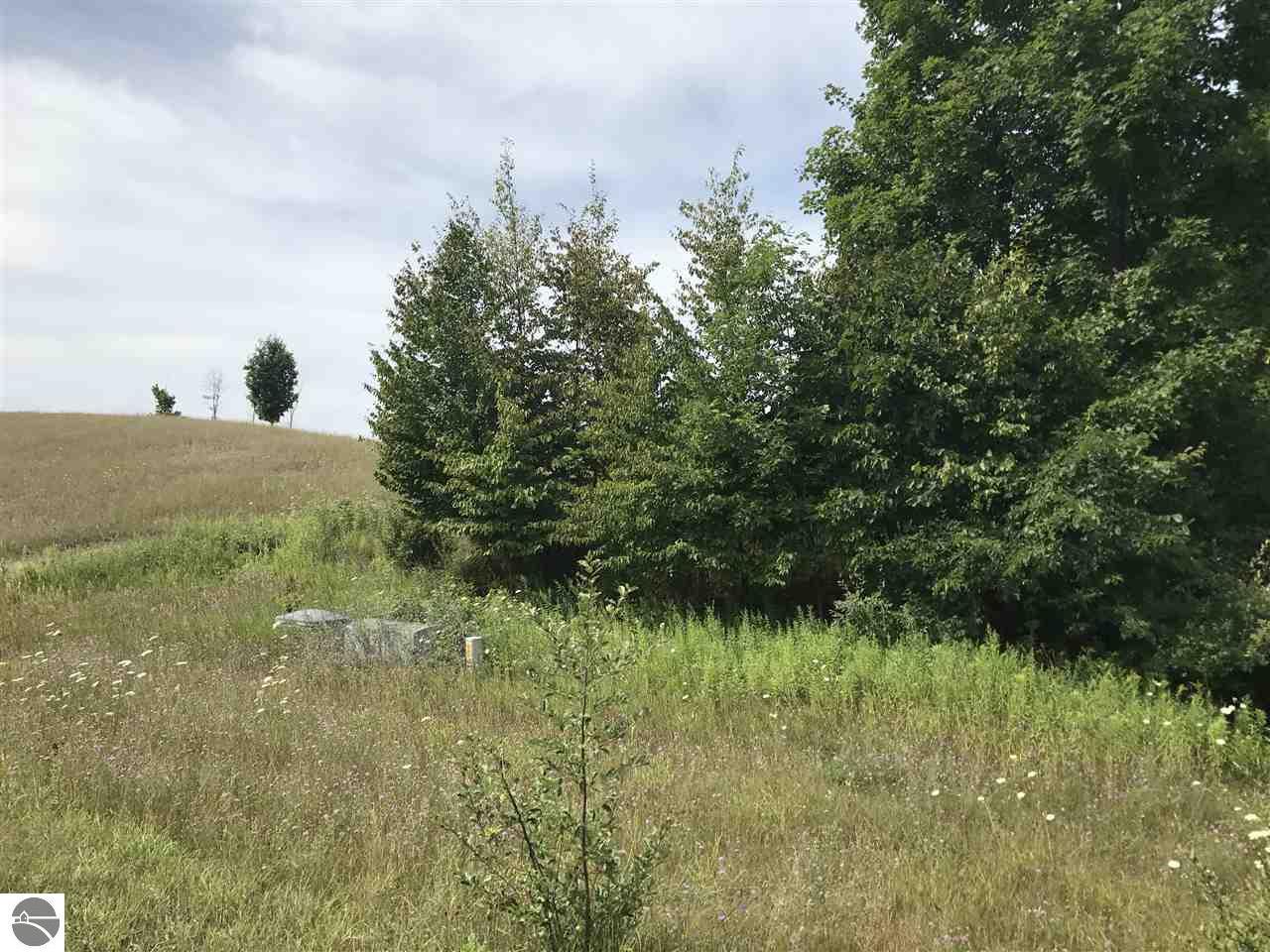 6550 Floreys Ranch Road - Photo 1