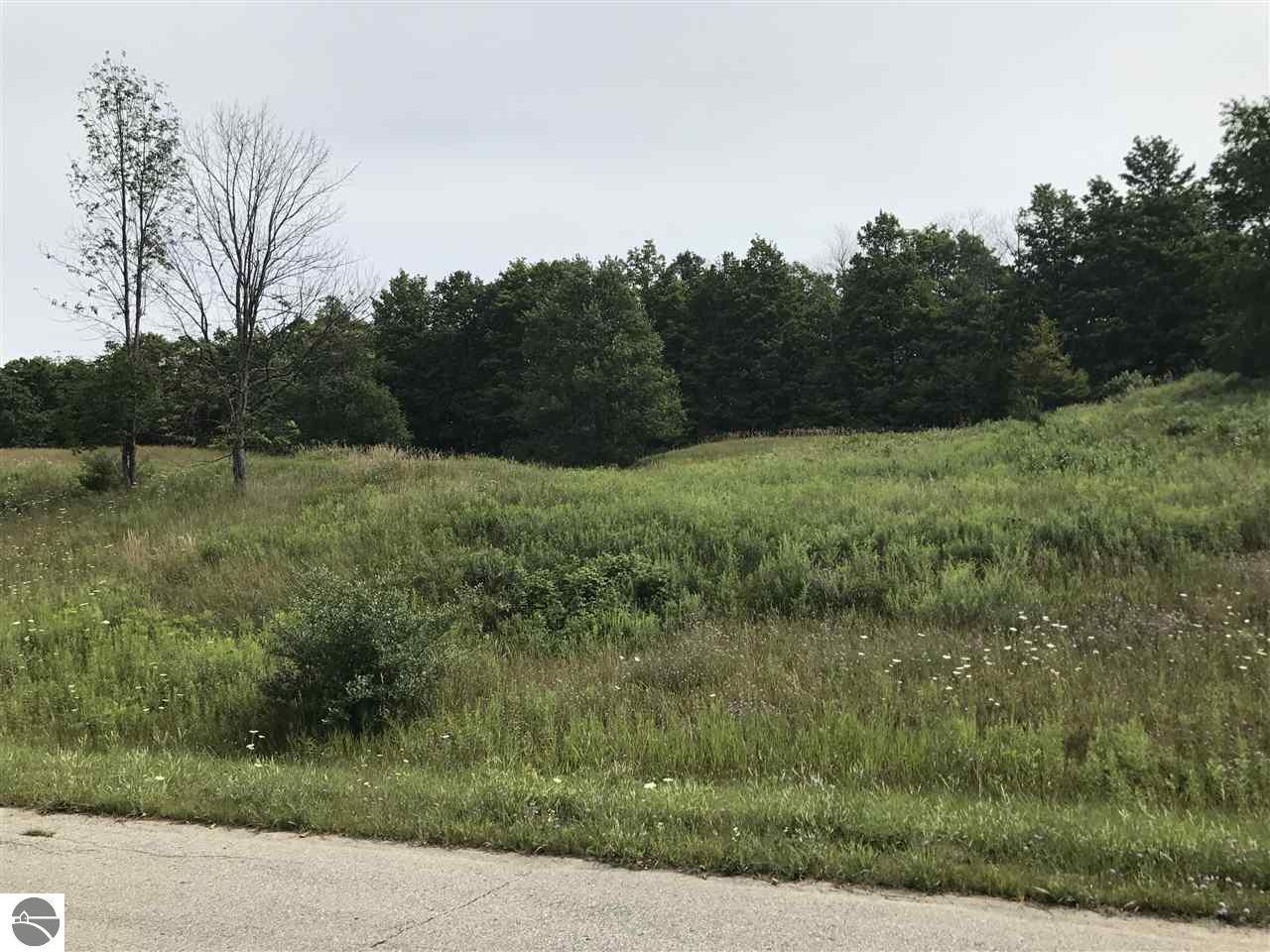 Floreys Ranch Road - Photo 1