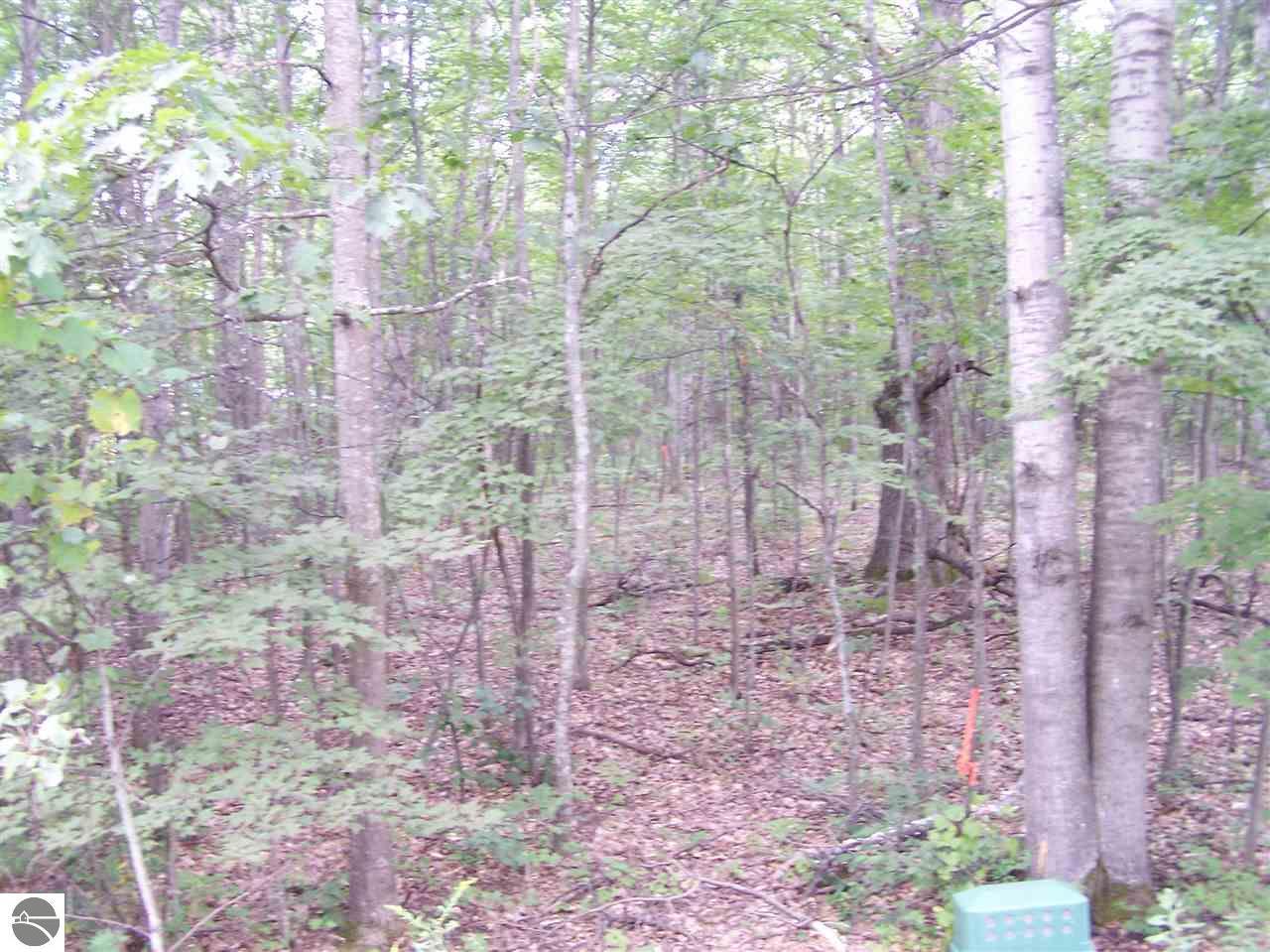 TBD Circle E - Photo 1