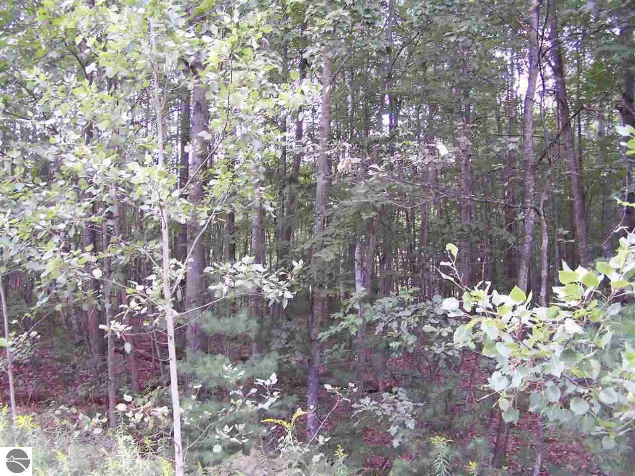 TBD Circle E - Photo 1