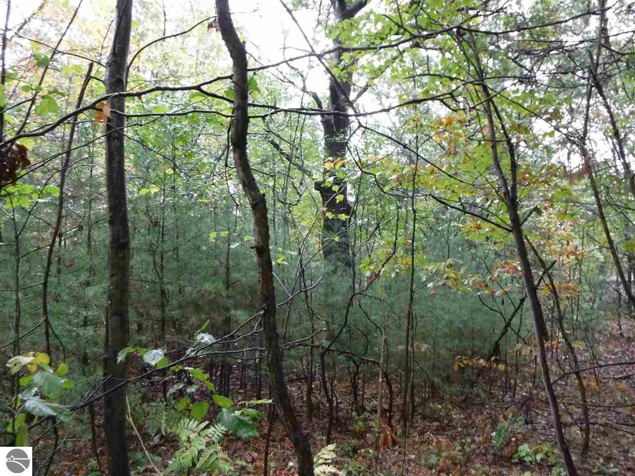 00 West Avenue - Photo 1