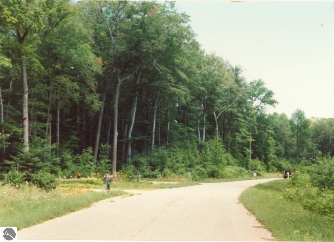 Parcel 5 Trillium Drive - Photo 1