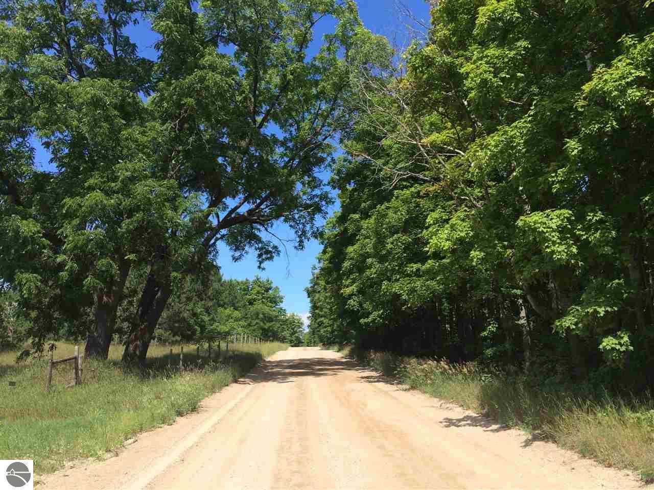 Black Walnut Lane - Photo 1