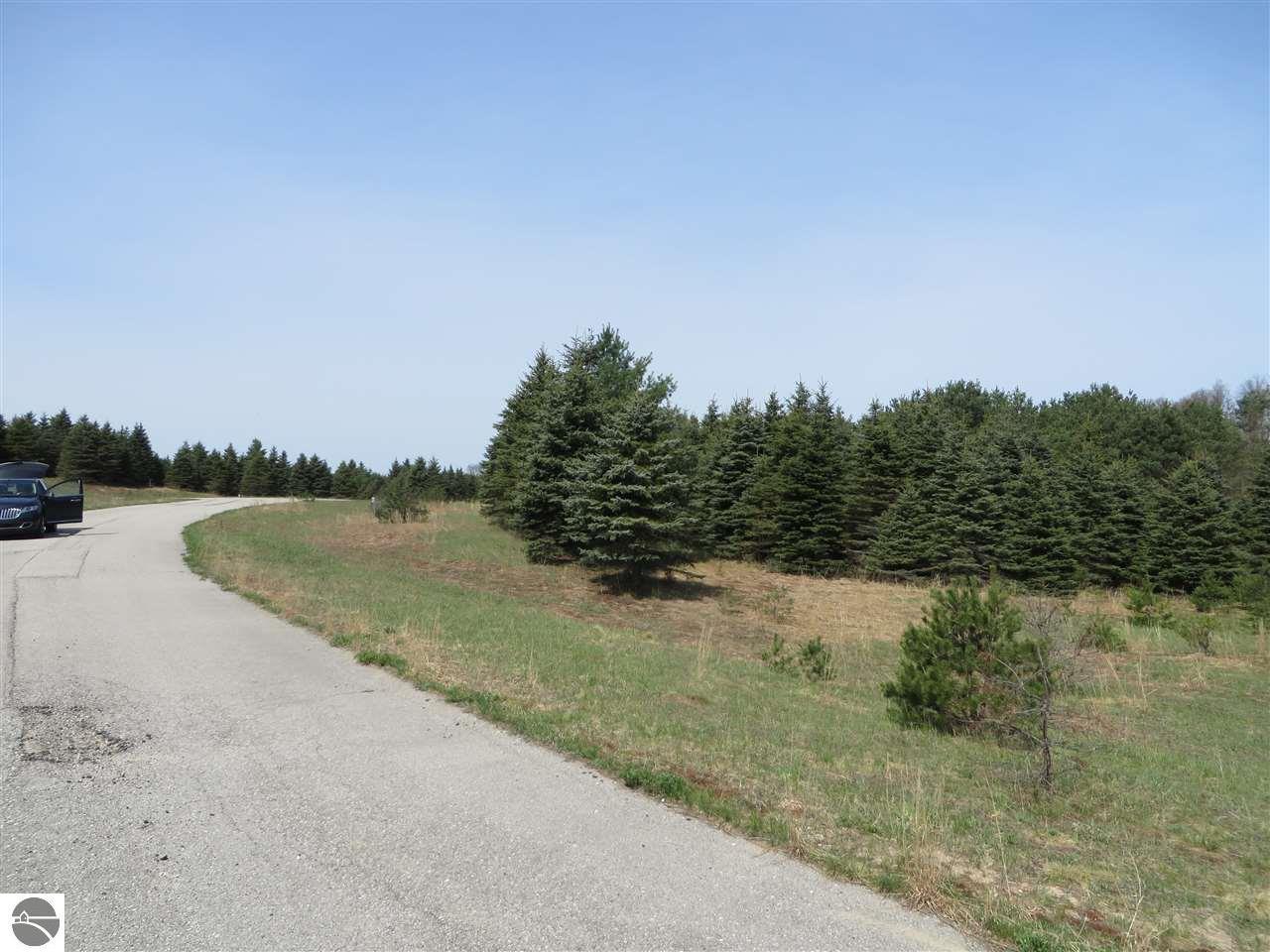 10935 Spruce Hollow Trace - Photo 1