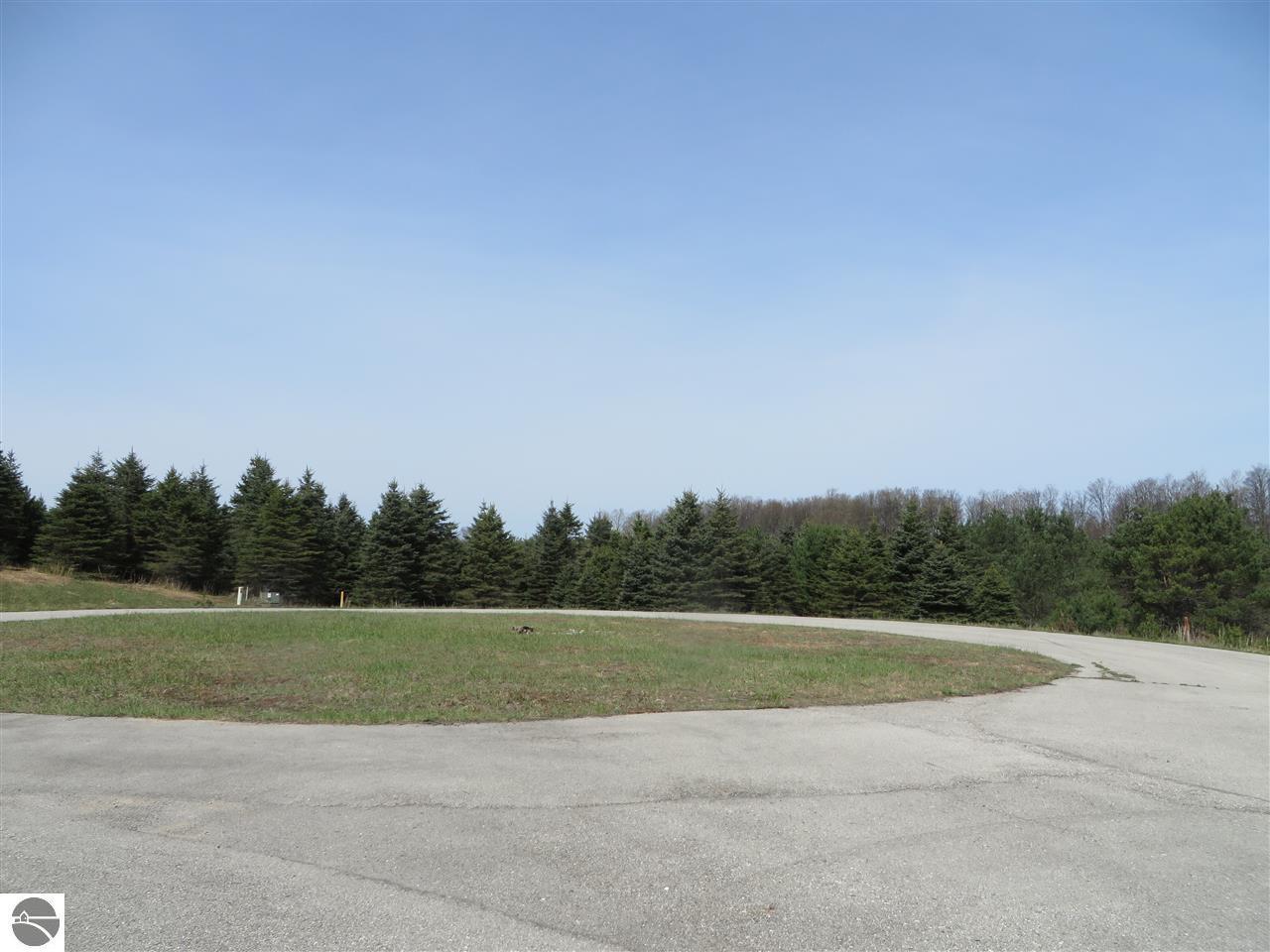 10904 Spruce Hollow Trace - Photo 1