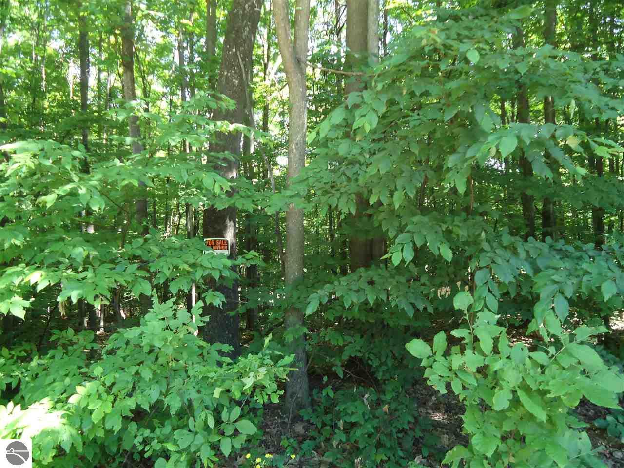 Alpenhaus Lane - Photo 1