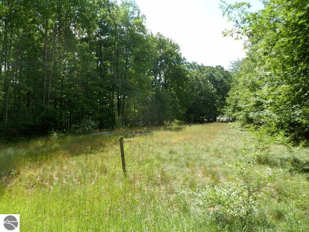 1009 Madrid Lane - Photo 1